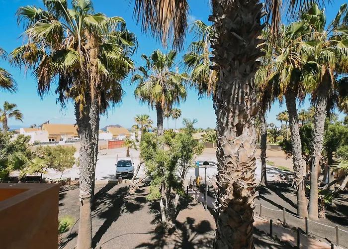 Playa Y Palmera كوراليهو