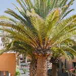 Playa Y Palmera *