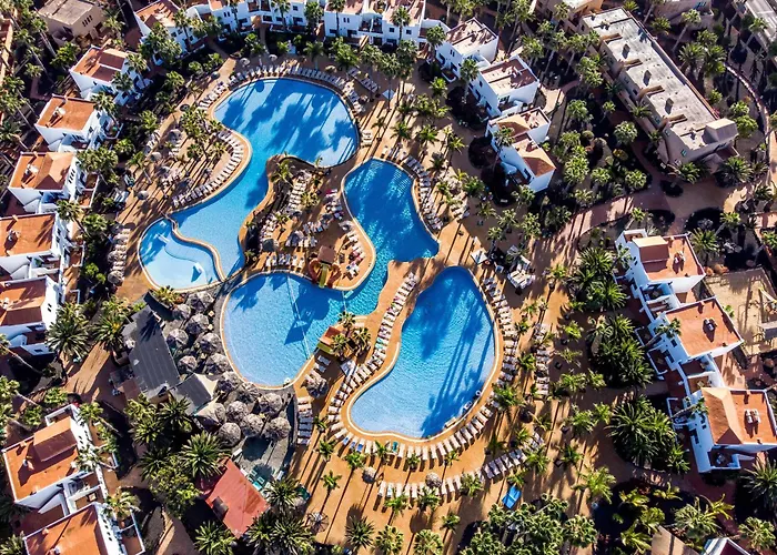 Playa Y Palmera アパート コラレホ