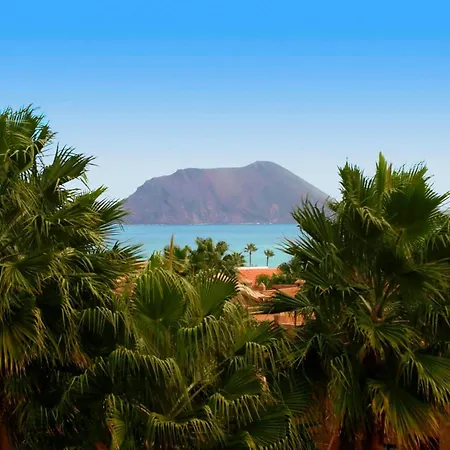 Playa Y Palmera