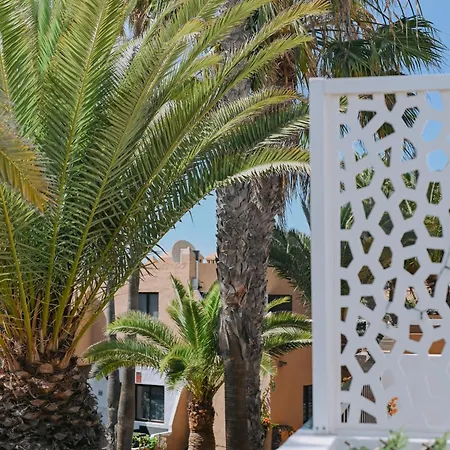 Playa Y Palmera